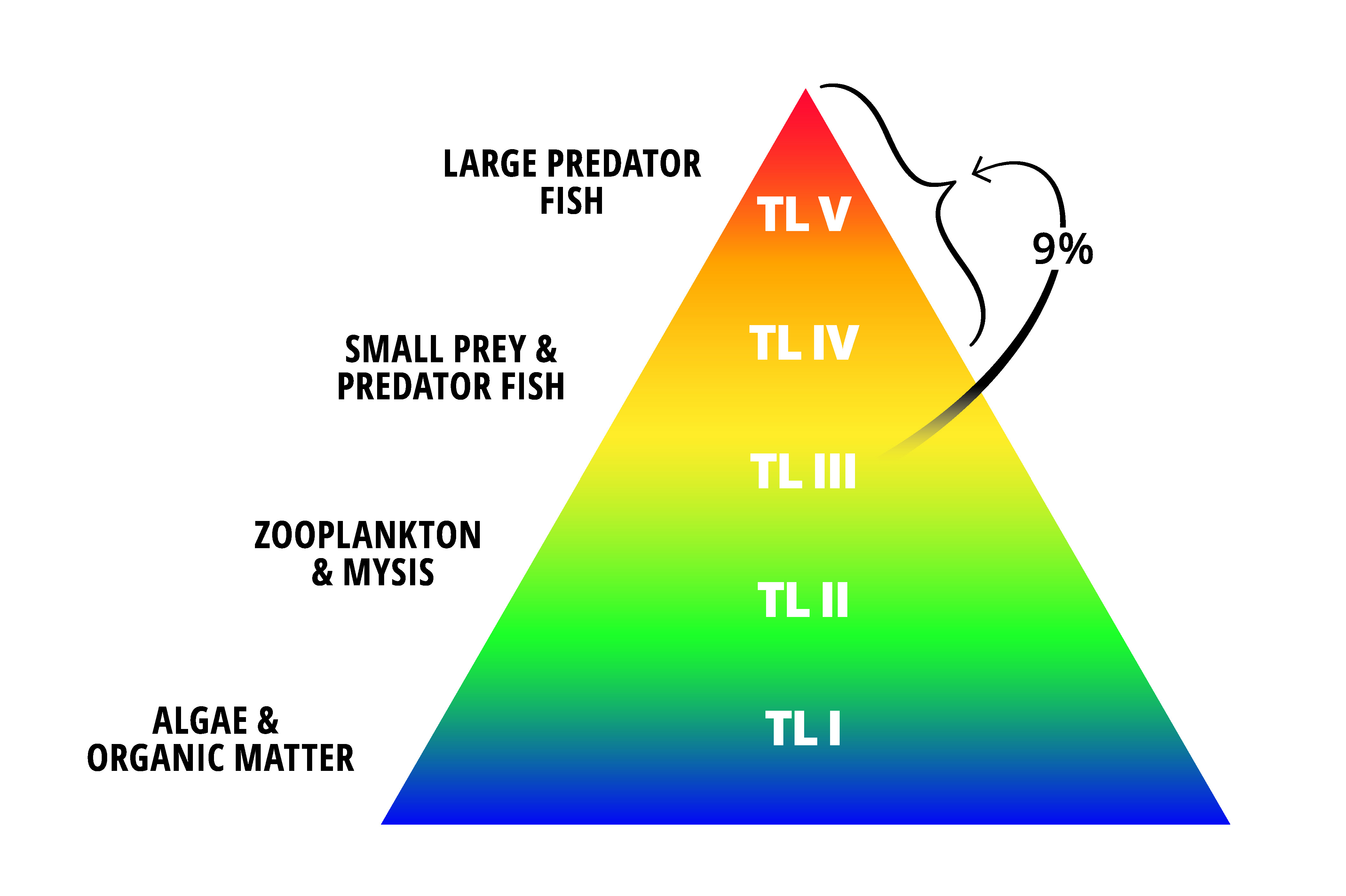 Tropic pyramid with the top TL4 and TL5 areas showing as 9%